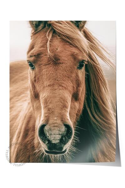 Postifull Poster rustic fără rame, pictură nordică maro, NR:398 Fotografie cu...
