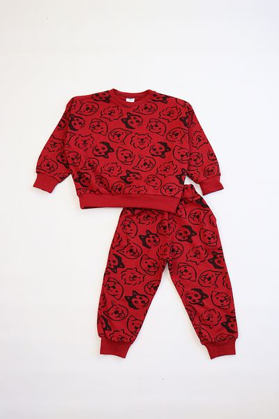 Pijamella Girls-Boys Printed Pajamas Set Crew Neck Long Sleeve Top with Elastic Waist Bottom