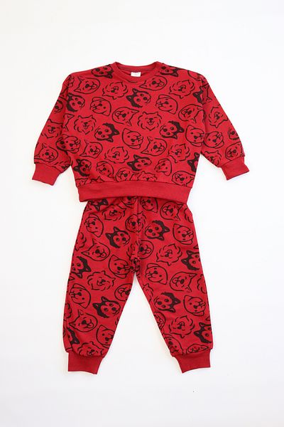 Pijamella Girls-Boys Printed Pajamas Set Crew Neck Long Sleeve Top with Elastic Waist Bottom