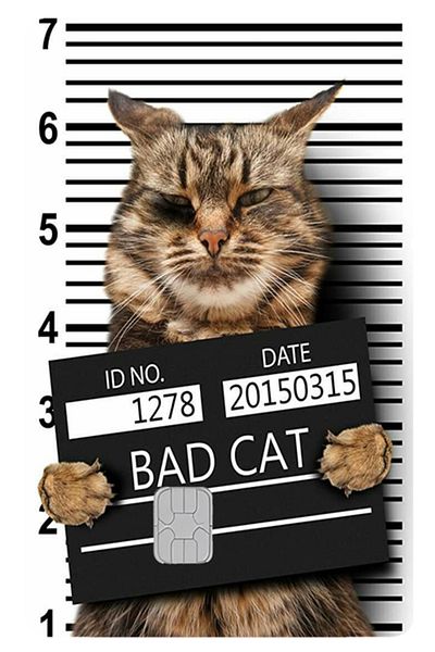 Sticksy Card Skin Sticker Bank Credit Card Skin Sticker Credit Card Label Mdl 293