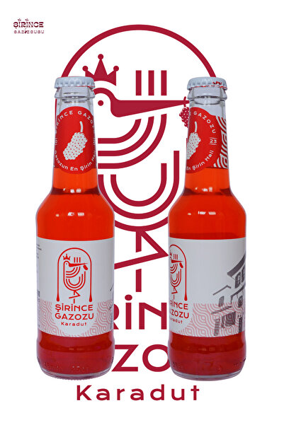 şirince gazozu Karadut 24'lü 250 Cl