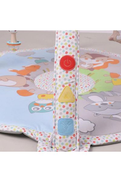 Little Learners Play Mat With Music & Projection