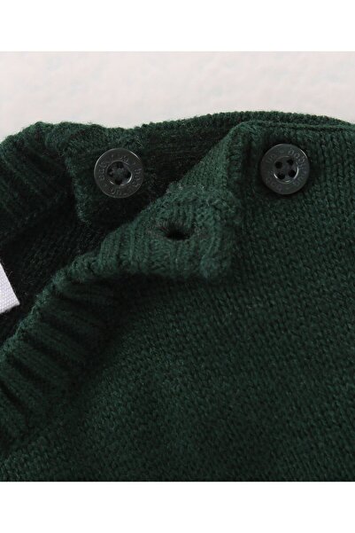 Babyhug Babyhug Full Sleeves Pullover Sweater Animal Design - Green