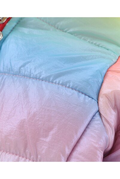 Babyhug Babyhug Full Sleeves Woven Printed Hooded Padded Jacket - Multicolor