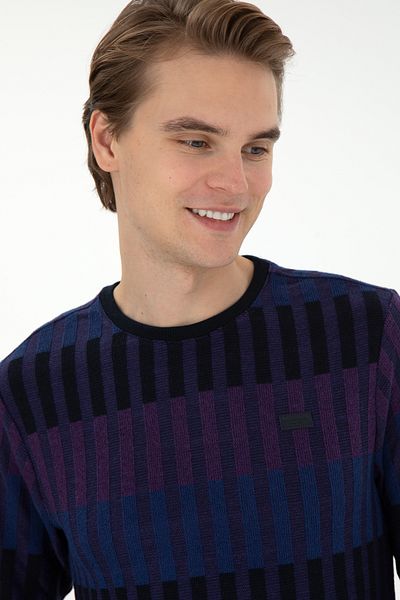 U.S. Polo Assn. Men's Purple Sweatshirt 50290623 -Vr038