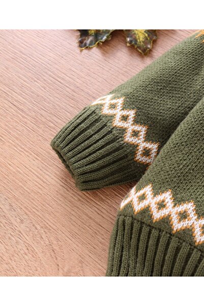 Babyhug Babyhug Full Sleeves Printed Hooded Sweater - Olive