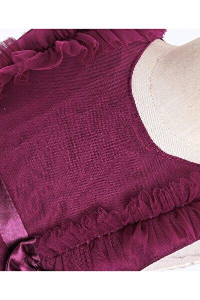 Babyhug Babyhug Sleeveless Mesh Party Frock with Frill Detailing & Bow Applique - Aubergine