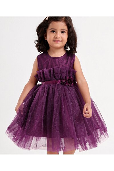 Babyhug Babyhug Sleeveless Party Frock with Sequins & Corsage - Purple