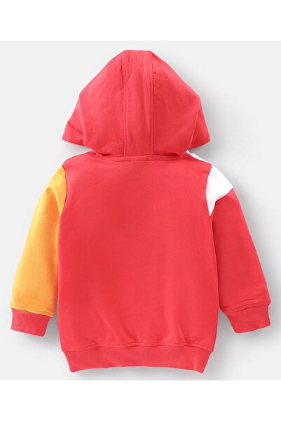 Babyhug Babyhug Cotton Knit Full Sleeve Hooded T-Shirt & Jogger Pants Set With Color Block Print -Multicolor
