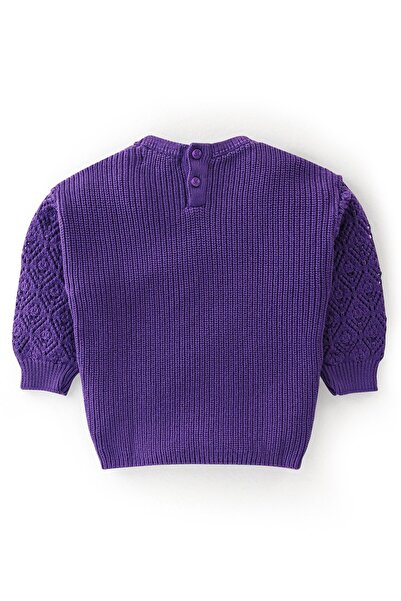 Babyoye Babyoye Eco Conscious 100% Cotton Full Sleeves Sweater with Applique - Purple