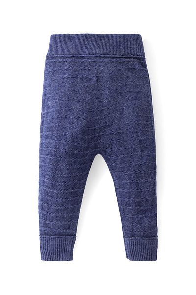 Babyhug Babyhug Full Length Fleece & Woollen Pant with Text Embroidery Solid Colour - Blue