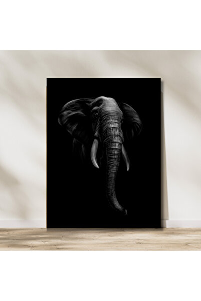 TRADE AYS Elephant in Darkness Kanvas Tablo