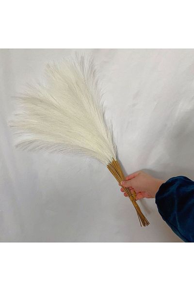 Choice 10pcs Milky White 55cm 10pcs Fluffy Pampas Grass Boho Decor Flower Fake Plant Reed Simulated Wedding