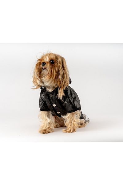 MAXSTYLESPET Black Waterproof Cat Dog Coat