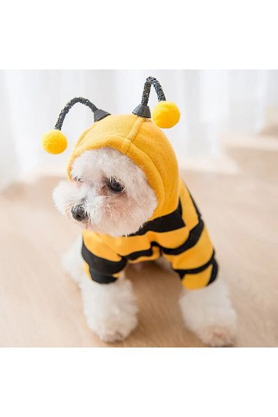 Choice 1PCS Dog Clothes For Autumn And Winter Schnauzer Teddy Small Puppy Cat Pet Hoodie Bee Transformat...