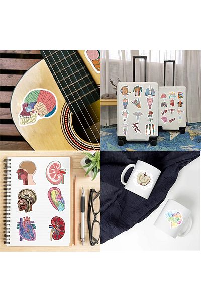 Choice 50pcs 50pcs Human Anatomy Body Physiology Stickers Temporar Graffiti Stickers Luggage Skateboard Lap