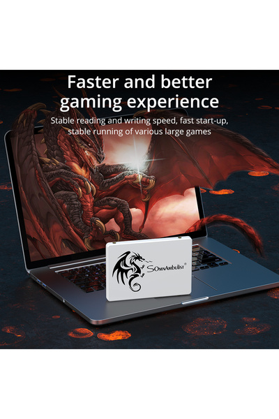 Choice 480gb SomnAmbulist SSD 2.5 for Laptop Desktop Solid State Drive Sata3