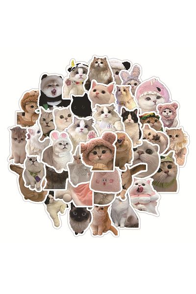 Choice 60pcs 60pcs Cute Cat Expression Sticker Pack Waterproof Phone Case Kawaii Laptop Skin Aesthetic Stic