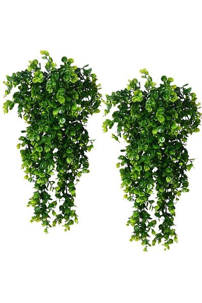 Choice 01 1pcs Artificial 5forks Rattan Eucalyptus Wall Hanging Simulation Greenery Fake Hanging Plants Vin