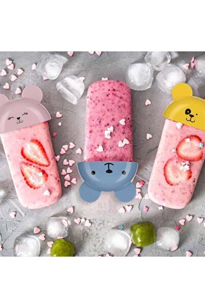 RAMDET 4-Piece Figured Practical Ice Cream Making Container with Stick Dodurma Ice Cream Container Mold