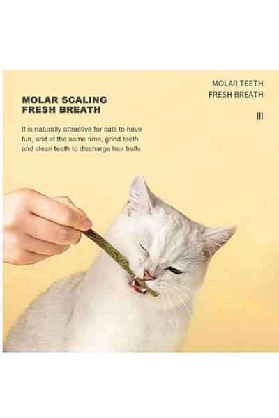 TİNEKE 6 Natural Fruit Flavored Matatabi Cat Catnip Branches