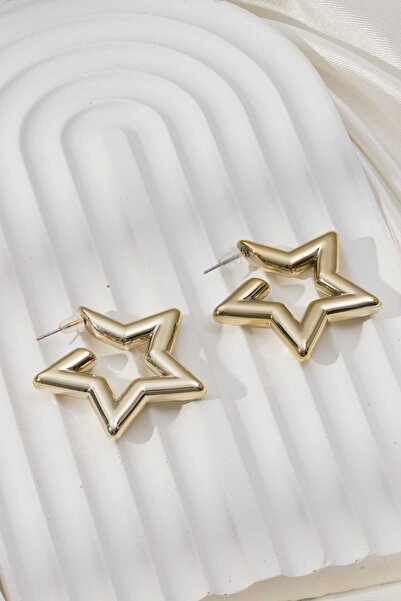 MRK Kadın İthal Yıldız Çelik Küpe