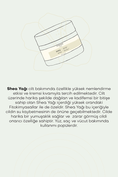 Polente Natural Shea Butter - Soğuk Sıkım (50 Ml)
