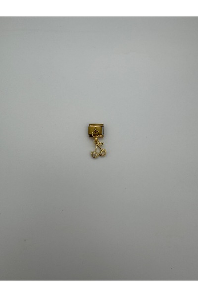 CT STONES 9 mm Nomination Italian Steel Charm