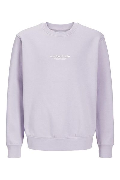 Jack & Jones Sweatshirt bedrucktes Sweatshirt Mini