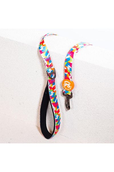 Pawstar Mosaic Leash Cat Dog Ship & Walk Strap Dog Extension Collar