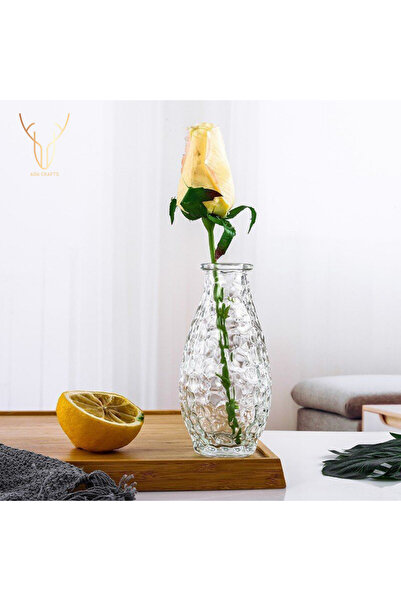 Ada Crafts Fransız Buble Designe Mini Cam Vazo
