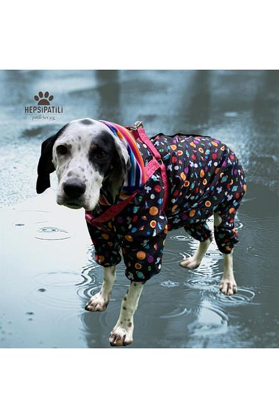 Alphadog Space Jam Thin Dog Raincoat