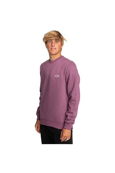 BİLLABONG Billabong Arch Cr Sweatshirt for Men