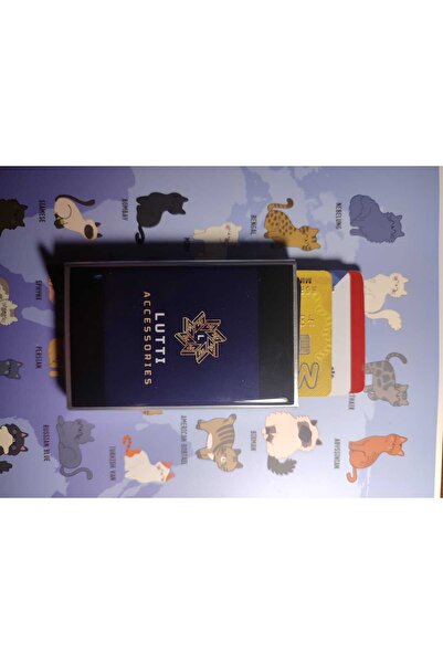Lutti Metal Plastic Thin Mechanism Card Holder