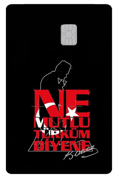 Sticksy Card Skin Sticker Bank Credit Card Skin Sticker Credit Card Label Mdl 153