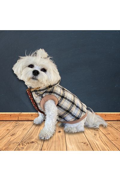 Oli and Lui Plaid Dog Coat