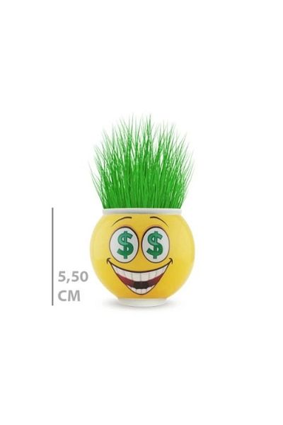 Acousticworld Γλάστρα Grass Man με φιγούρες Emoji για διακόσμηση γραφείου στο σπίτι