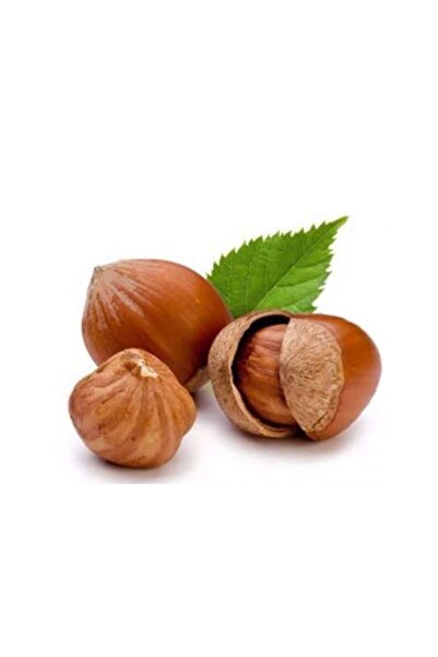 Fiskobirlik Fındık Ezmesi 300 gr x 6