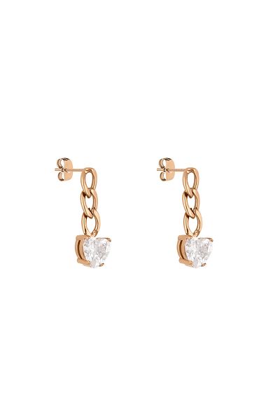 Daniel Klein Mtk11396 Steel Rose Gold Colored Earrings
