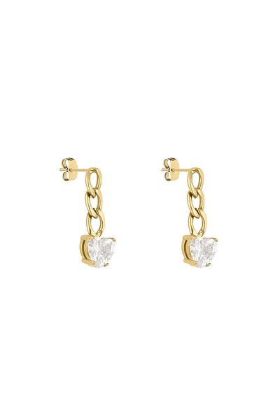 Daniel Klein Mtk11395 Steel Gold Color Earrings