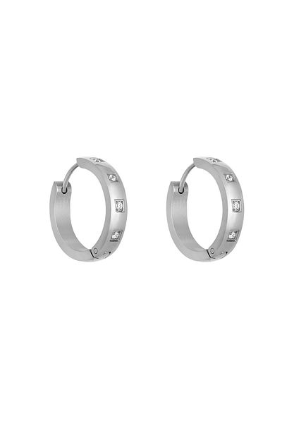 Daniel Klein Mtk11397 Steel Silver Color Earrings