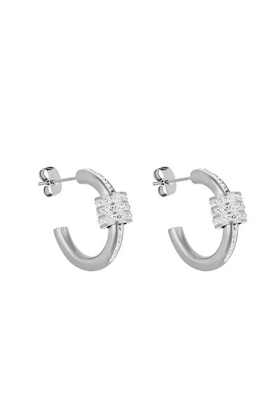 Daniel Klein Mtk11410 Steel Silver Color Earrings