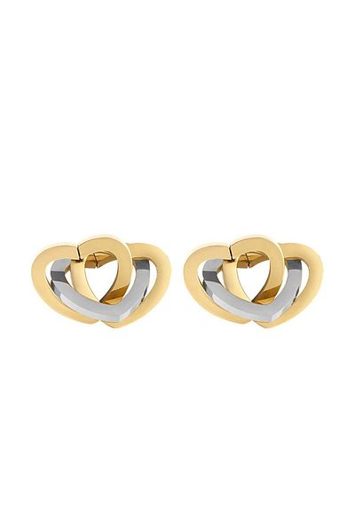 Daniel Klein Mtk11423 Steel Gold Silver Color Earrings