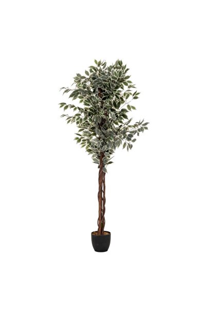 Atmosphera نبات فيكوس صناعي سهل الصيانة مع وعاء 180 سم