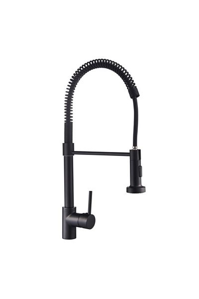 Dime Durable Modern Design Matte Finish Pull-Out Kitchen Mixer