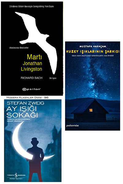 TÜRKİYE İŞ BANKASI KÜLTÜR YAYINLARI Martı Jonathan Livingston Richard Bach + ...