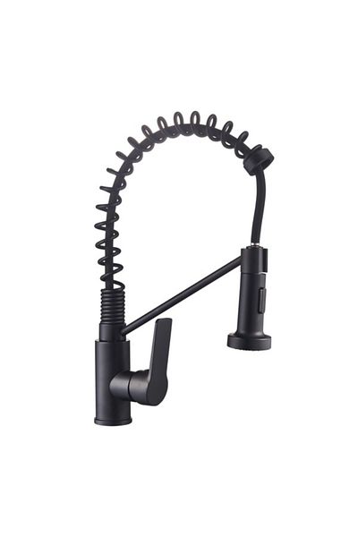 Dime Durable Modern Design Matte Finish Pull-Out Kitchen Mixer