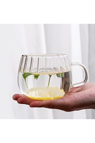 OneHouse 400 ML Çift Çidarlı Kulplu Şık Desenli Cam Bardak 4 Adet