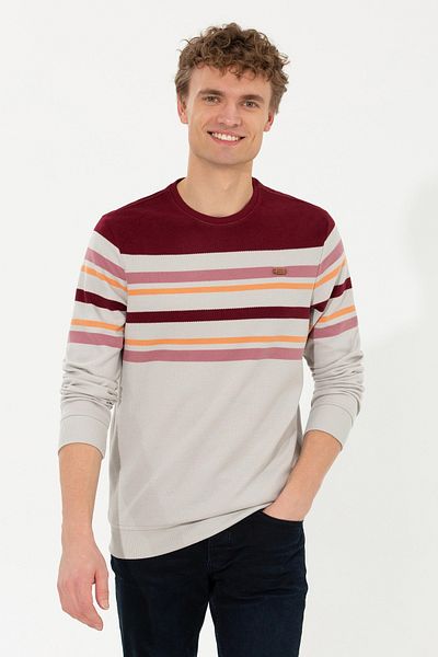 U.S. Polo Assn. БАЗА. ПОЛО. АСОЦИАЦИЯ Мъжки суитшърт с камъни 50256377