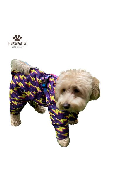 Alphadog Thunder Fleece Small Breed Dog Raincoat Jumpsuit